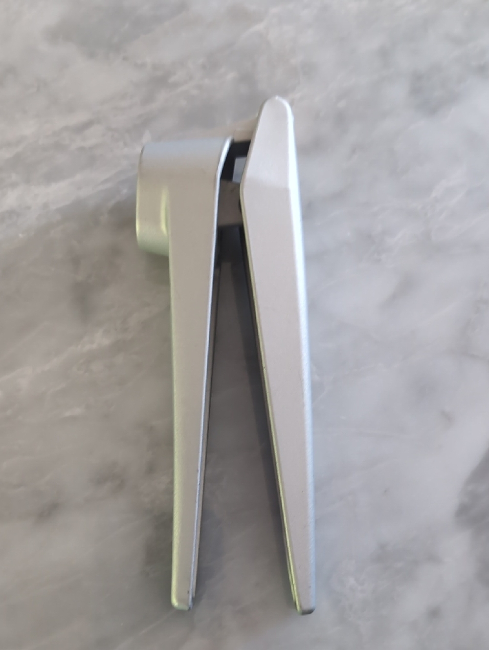 Zyliss Garlic Press